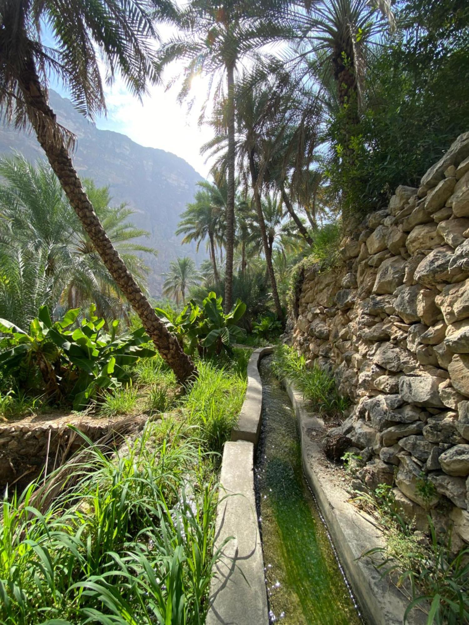 Wadi Shab Maison d'hôtes *