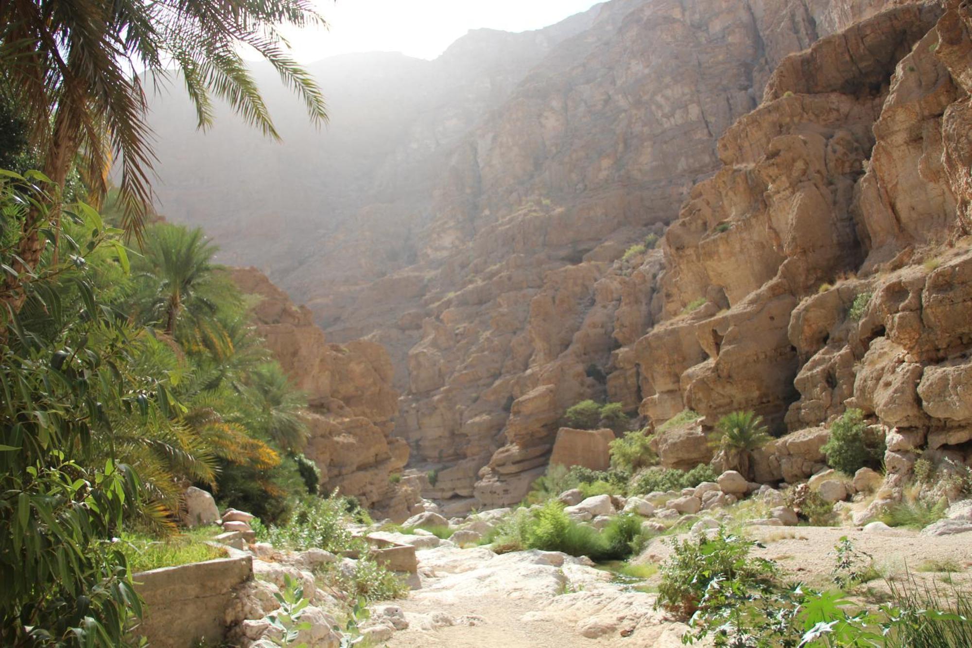 Maison d'hôtes Wadi Shab *